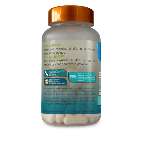 Glucosamina, Condroitina y MSM  cápsulas - Imagen 2