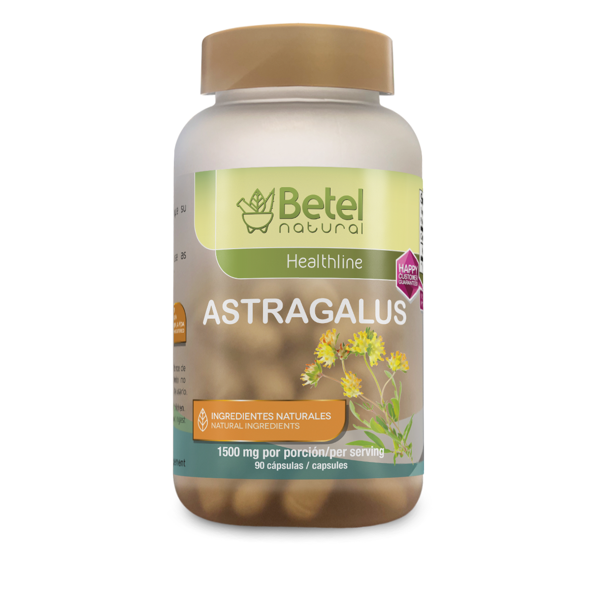 Astragalus cápsulas